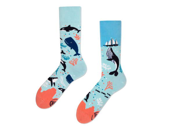 Many Mornings Ocean Life 35-38